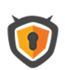 Vpn icon